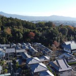 該当物件周辺の街並み